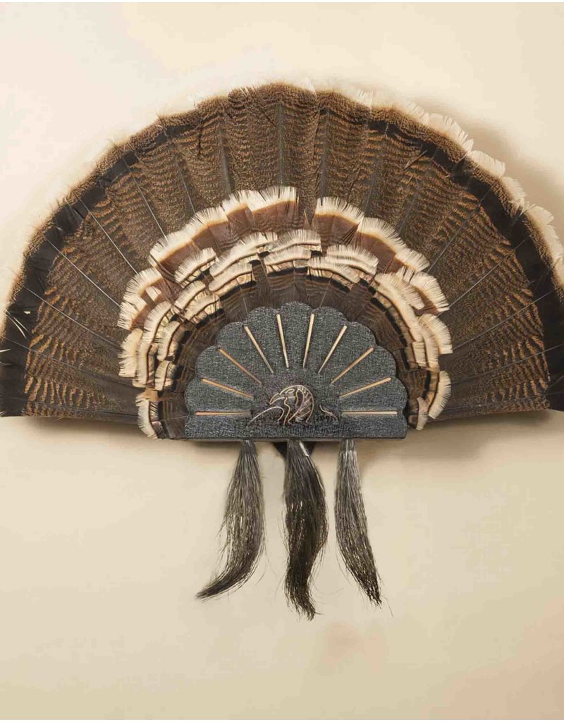 SKULL HOOKER TURKEY FAN WALL OR TABLE MOUNT