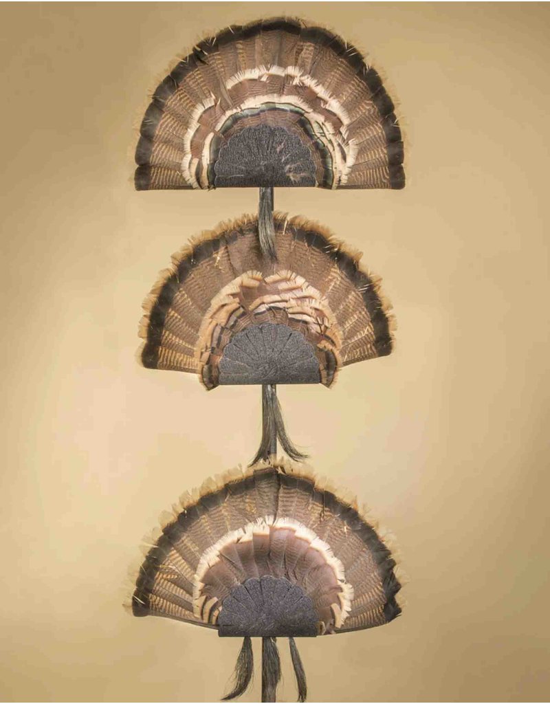 SKULL HOOKER TURKEY FAN WALL OR TABLE MOUNT