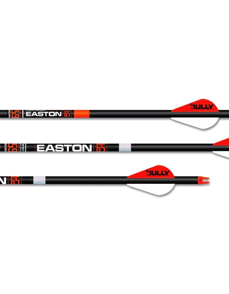 EASTON EASTON ARROWS 6.5 HUNTER CLASSIC 400 2” BLAZER