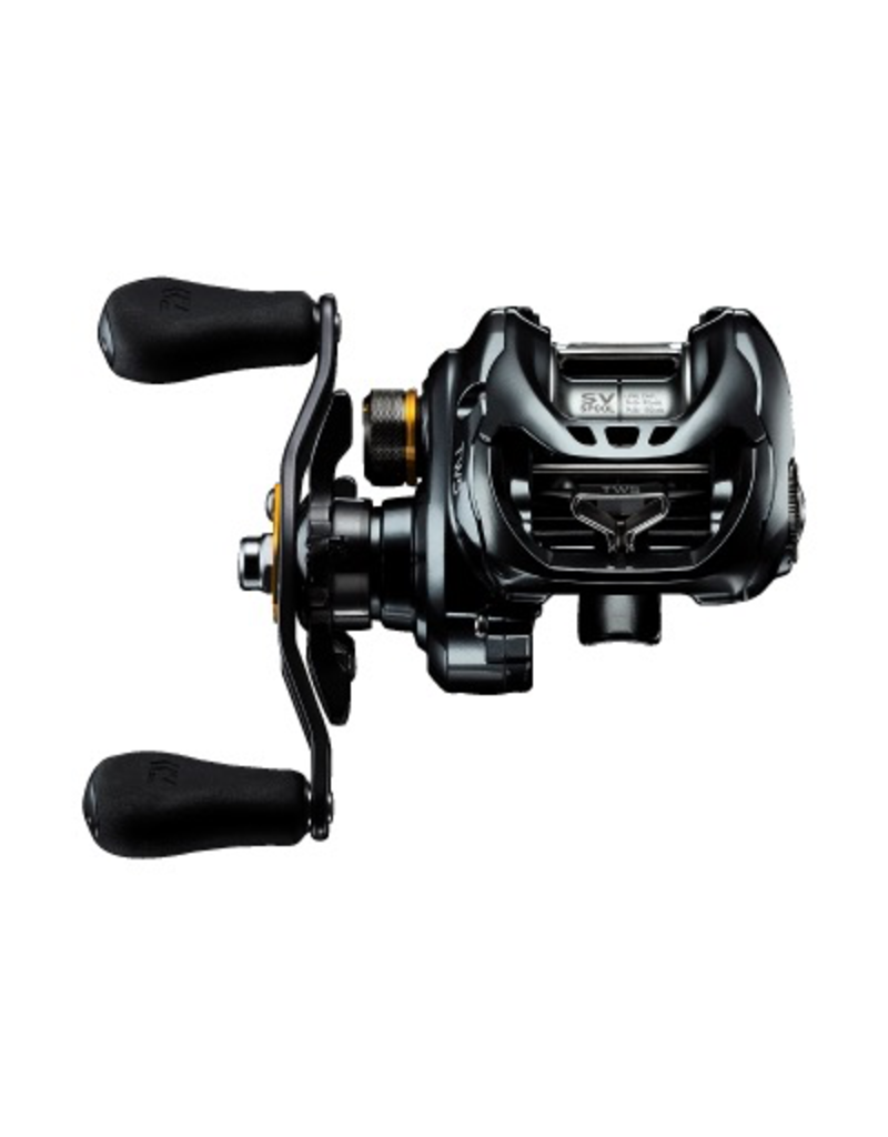 DAIWA DAIWA TATULA SV TW BAITCAST REEL