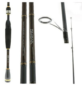 DAIWA DAIWA AIRD X BAITCASTING ROD