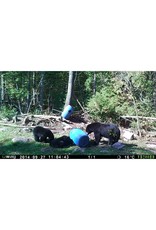 RACK STACKER RACK STACKER BLACK BEAR MUNCHIES 44LB