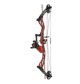 Cajun Carbon Infused Bow Fishing Red Arrow With Point and Safety