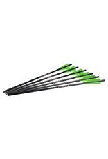 EXCALIBUR EXCALIBUR FIREBOLTS 20" 6PK