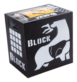 BLOCK TARGET BLOCK INFINITY 16 X BOW TARGET 6 SIDED