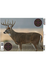 CHAMPION CHAMPION BIG GAME SERIES 12 PK