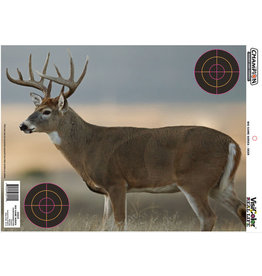 CHAMPION CHAMPION BIG GAME SERIES 12 PK