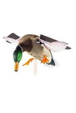 AVIAN-X AVIAN X POWERFLIGHT MALLARD SPINNING WING