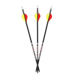 CARBON EXPRESS CARBON EXPRESS MAXIMA 360 250 ARROWS