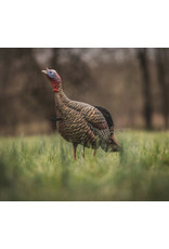 AVIAN-X AVIAN-X HDR JAKE TURKEY DECOY