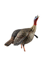 AVIAN-X AVIAN-X HDR JAKE TURKEY DECOY