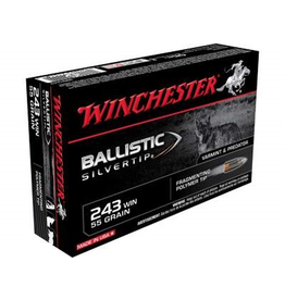 WINCHESTER WINCHESTER BALLISTIC SILVERTIP 243 WIN 55GR 20 RDS