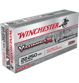 WINCHESTER WINCHESTER 22-250 REM. VARMINT X 55GR POLYMER TIP 20 RDS