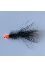 EGG SUCKING LEECH