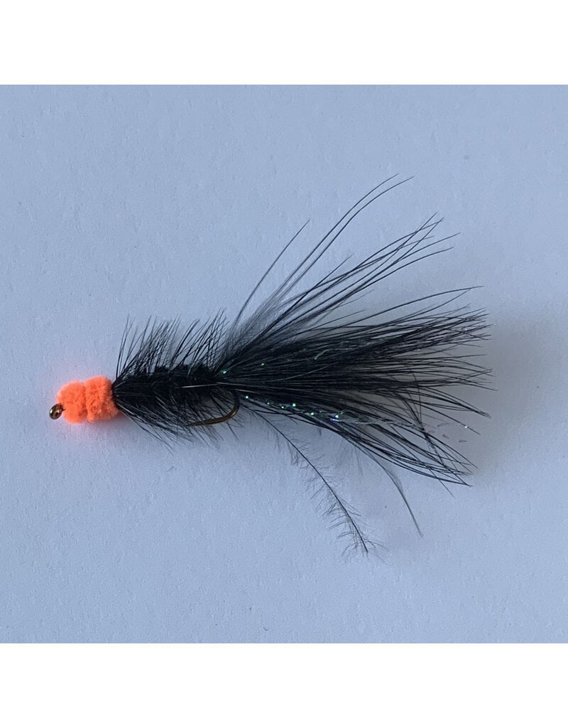 EGG SUCKING LEECH