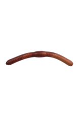 BERKLEY BERKLEY GULP FAT FLOATING TROUT WORM