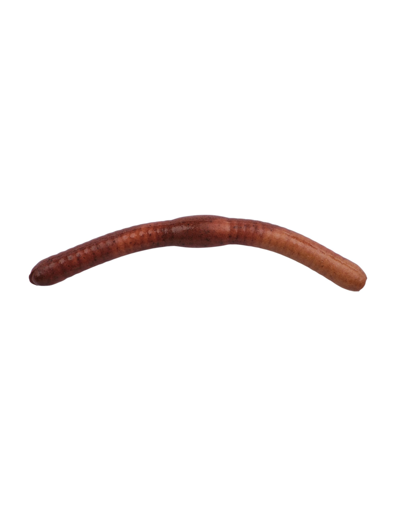 BERKLEY BERKLEY GULP FAT FLOATING TROUT WORM