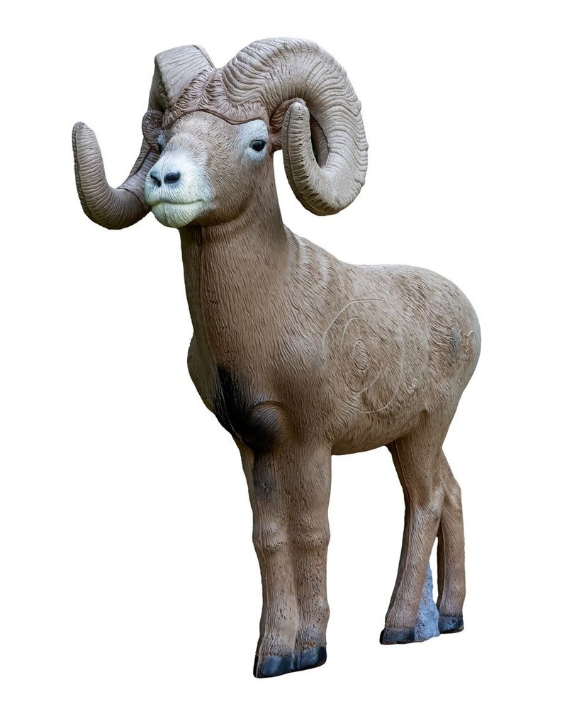 RINEHART TARGETS RINEHART TARGETS 1/2 SCALE SIGNATURE BIGHORN