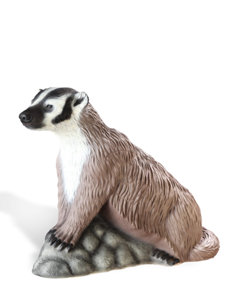 RINEHART TARGETS RINEHART BADGER IBO