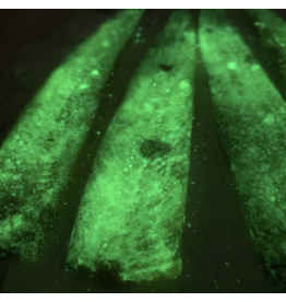 THE BIG ONE CUT HERRING GLOWS IN THE DARK 5PK