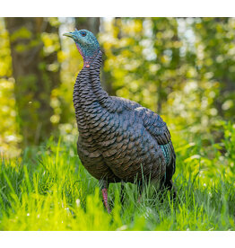 AVIAN-X AVIAN-X HDR HEN TURKEY DECOY