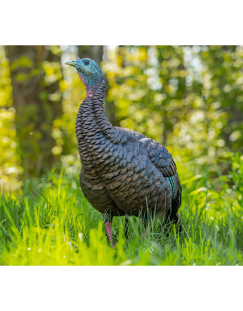 AVIAN-X AVIAN-X HDR HEN TURKEY DECOY