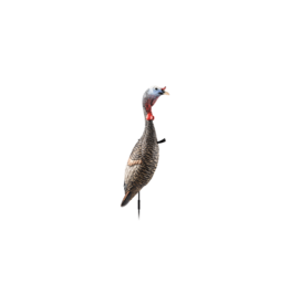 FLEXTONE FLEXTONE FUNKY CHICKEN GEN2 DECOY