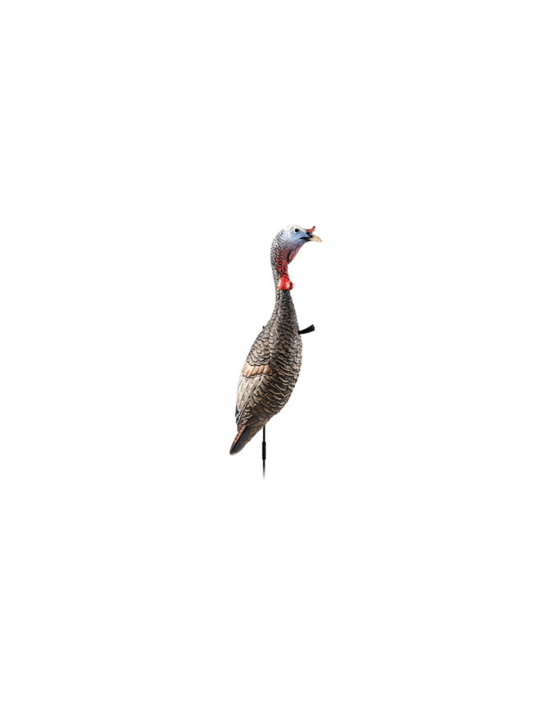 FLEXTONE FLEXTONE FUNKY CHICKEN GEN2 DECOY