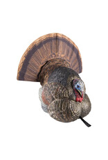 AVIAN-X AVIAN-X LCD STRUTTER DECOY