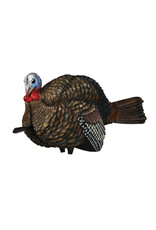 AVIAN-X AVIAN-X LCD 1/2 STRUT JAKE