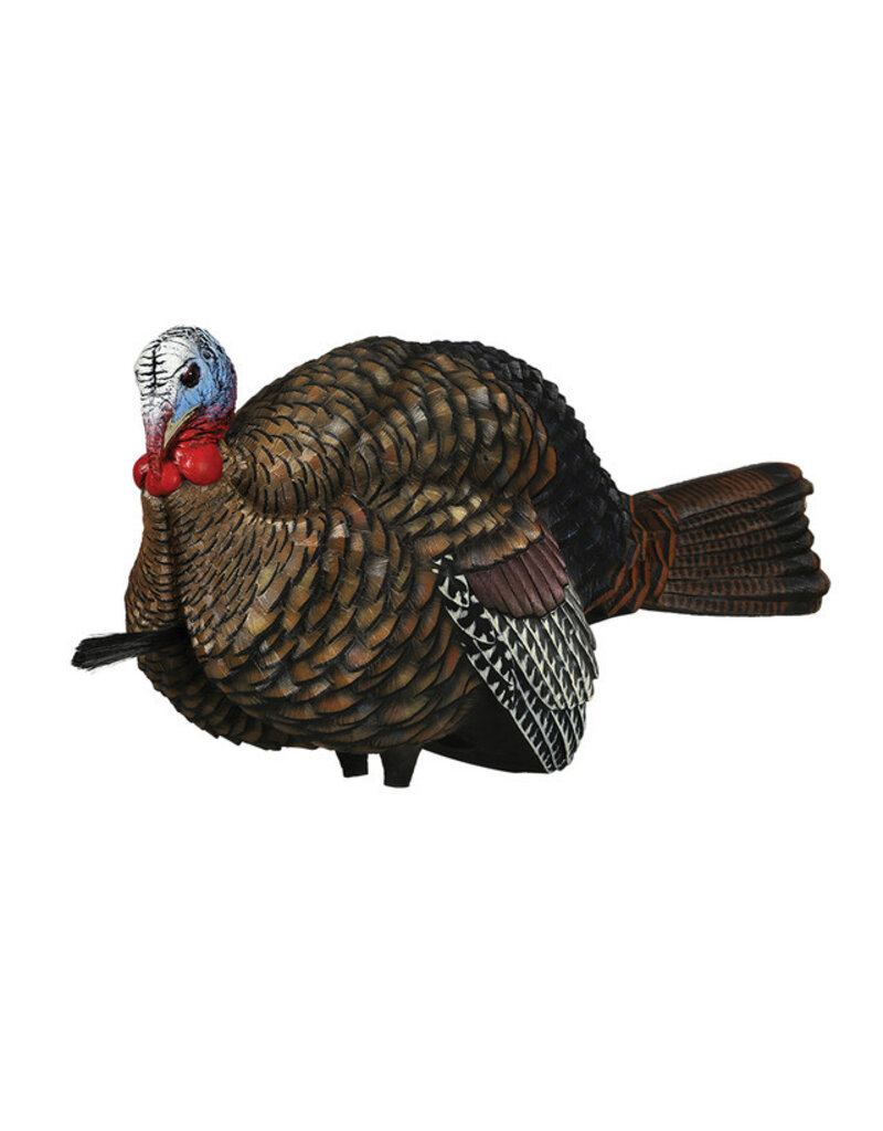 AVIAN-X AVIAN-X LCD 1/2 STRUT JAKE