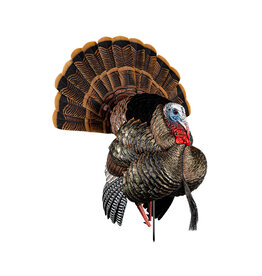 AVIAN-X AVIAN X HDR STRUTTER