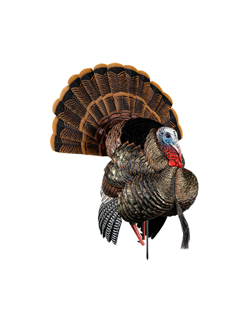 AVIAN-X AVIAN X HDR STRUTTER