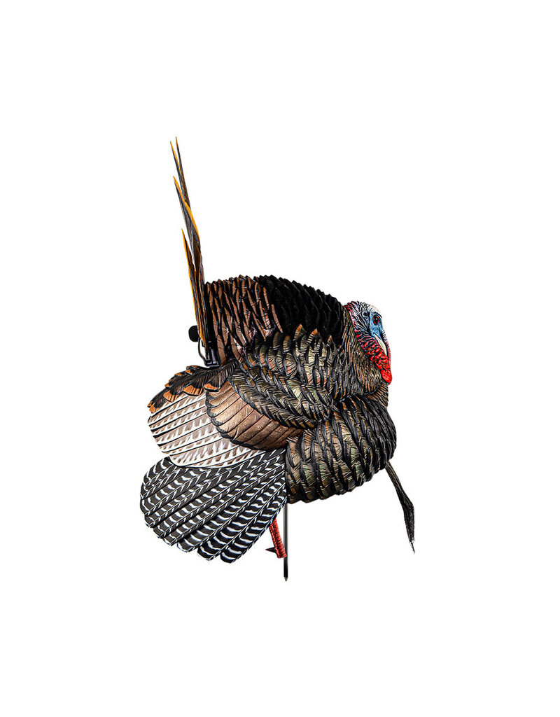 AVIAN-X AVIAN X HDR STRUTTER