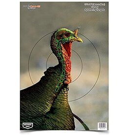 BIRCHWOOD CASEY BIRCHWOOD CASEY PREGAME REACTIVE TARGETS TURKEY 12" X 18" 8PK