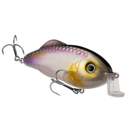 STRIKE KING STRIKE KING HUNTER SHALLOW JR. CRANKBAIT