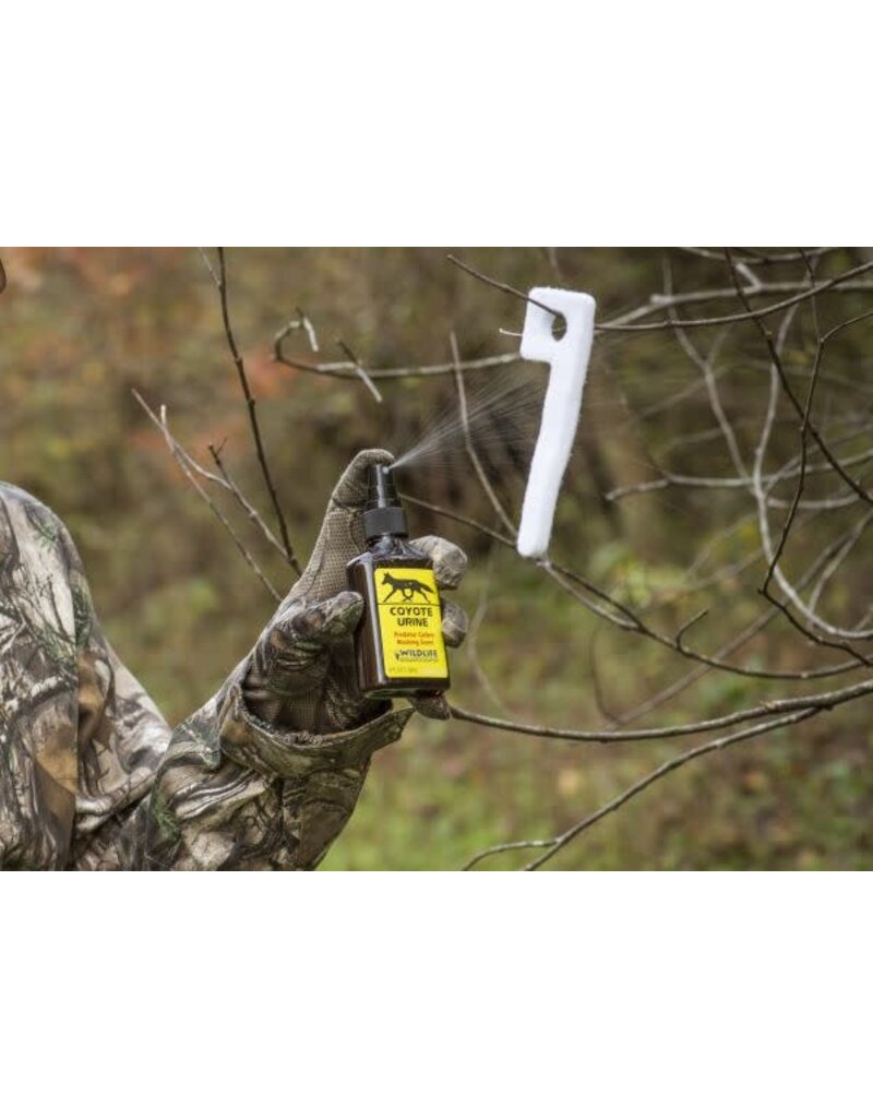 WILDLIFE RESEARCH WILDLIFE RESEARCH SCENT COYOTE URINE 4 FL OZ