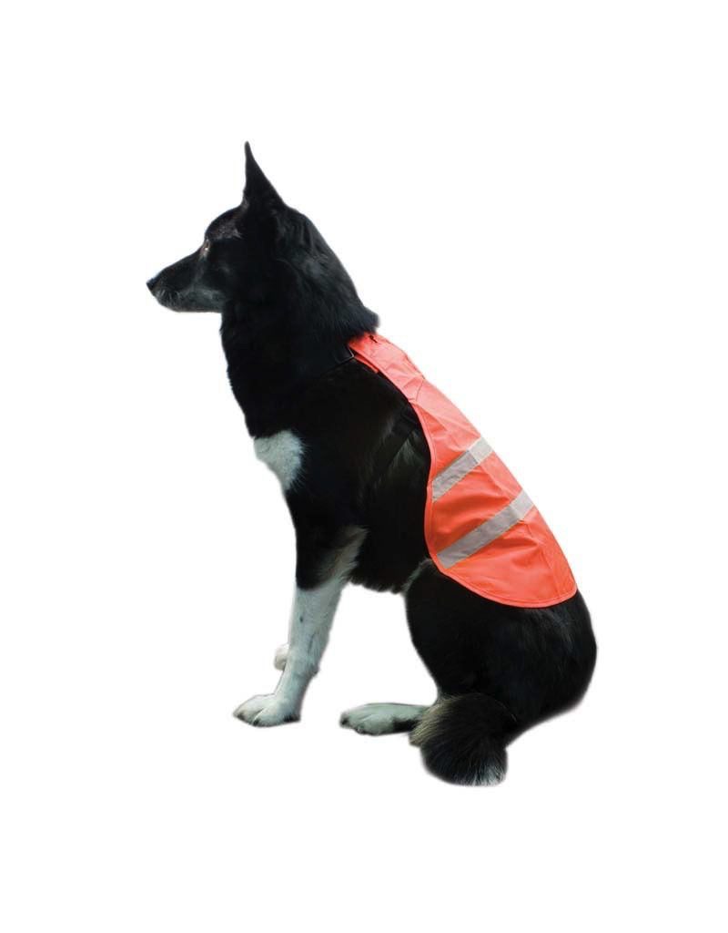 BACKWOODS BACKWOODS BLAZE DOG SAFETY VEST