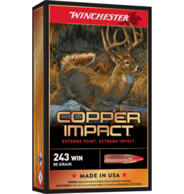 WINCHESTER WINCHESTER 243 WIN 85 GR 20 RDS