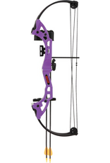 BEAR ARCHERY BEAR YOUTH ARCHERY BRAVE SET