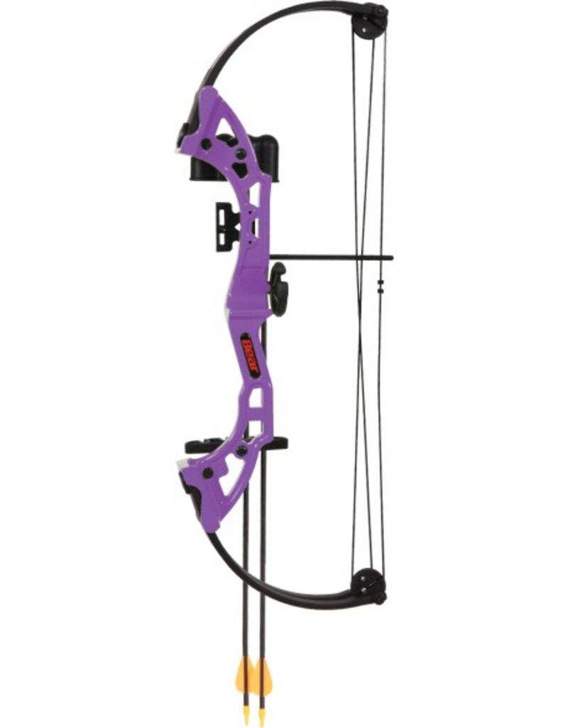 BEAR ARCHERY BEAR YOUTH ARCHERY BRAVE SET