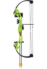 BEAR ARCHERY BEAR YOUTH ARCHERY BRAVE SET