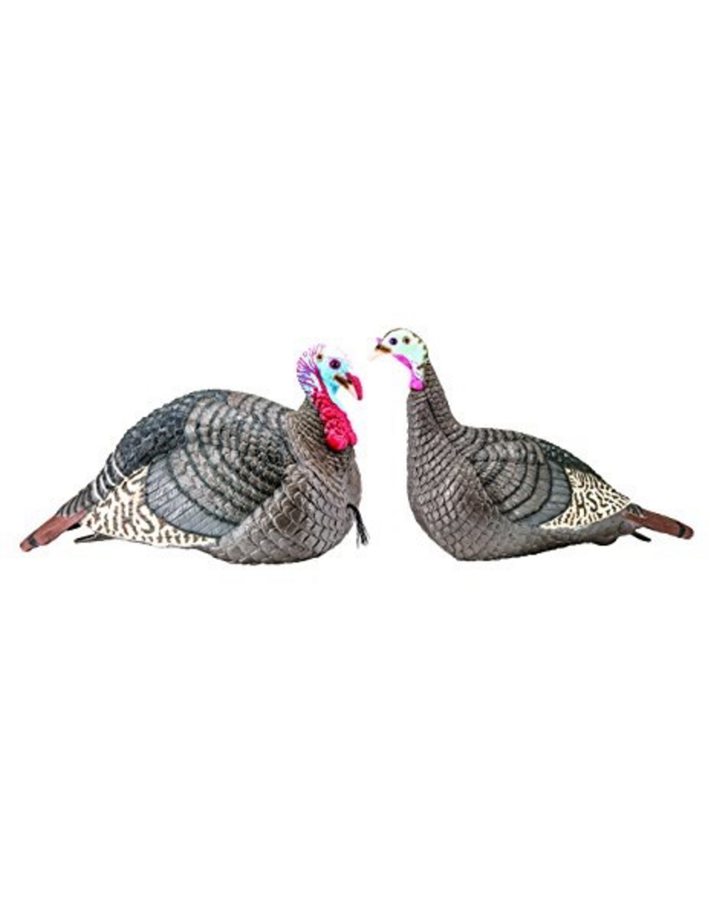 HUNTERS SPECIALTIES HUNTERS SPECIALTIES STRUT LITE JAKE & HEN DECOY COMBO