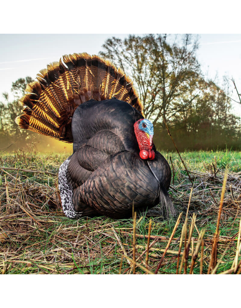 PRIMOS PRIMOS PHOTOFORM STRUTTER