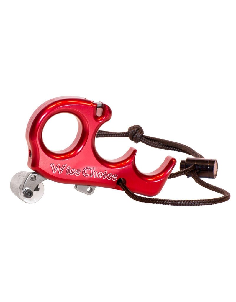 CARTER ENTERPRISES CARTER WISE CHOICE RELEASE