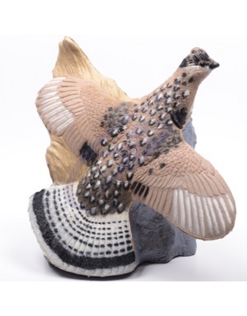 RINEHART TARGETS RINEHART TARGETS GROUSE IBO