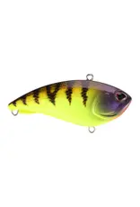 BERKLEY BERKLEY JACK 6 SINKING