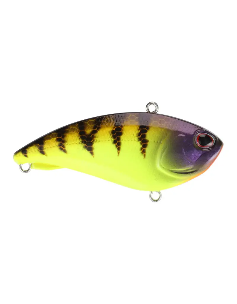 BERKLEY BERKLEY JACK 6 SINKING