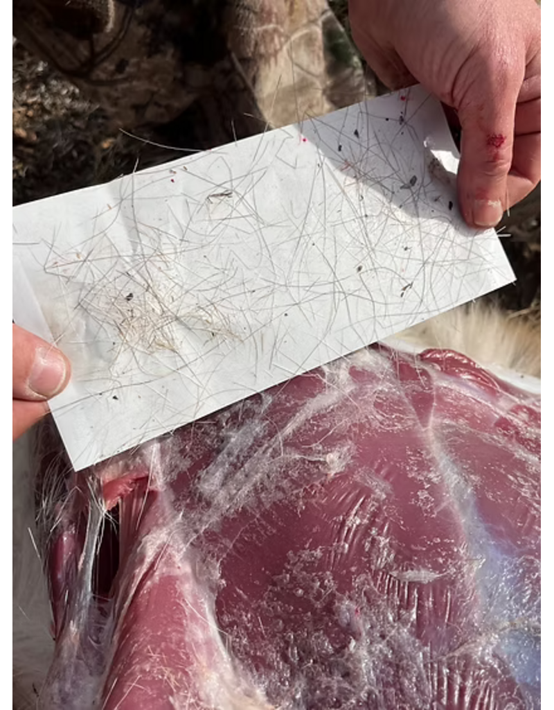 WILD TECH WILD TECH GAME GRIP FOOD-SAFE ADHESIVE STRIPS