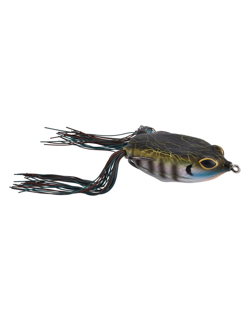 BERKLEY BERKLEY SWAMP LORD STANDARD HOLLOW BODY FROG